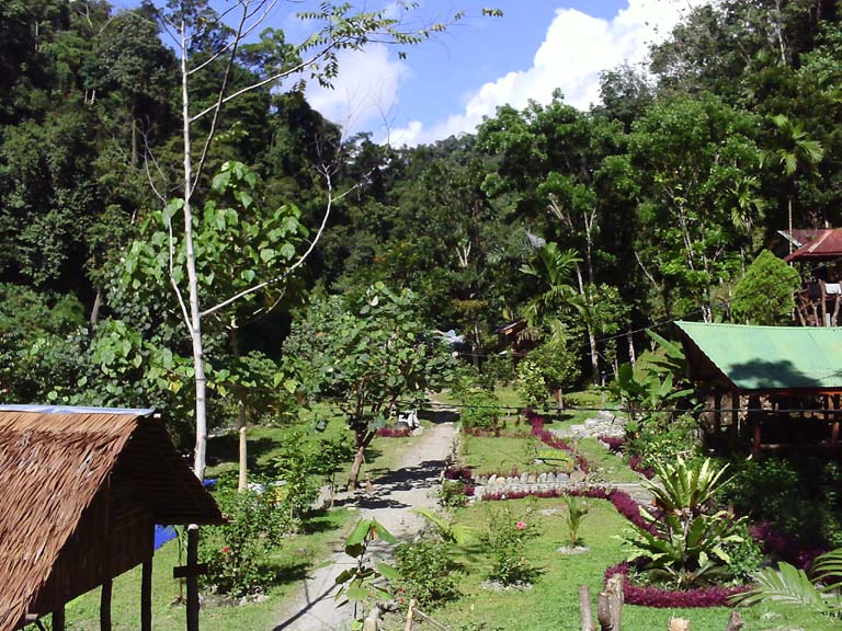 Bukit Lawang Village North Sumatra