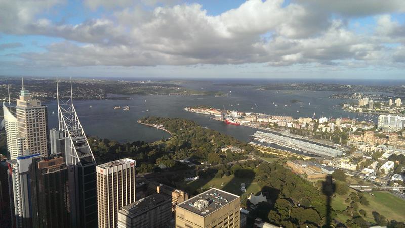 View from Sydney Tower towards Sydney Harbour