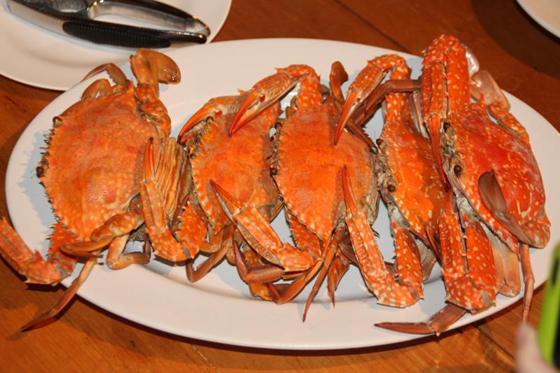 Fresh crab at Captain Hook Resort