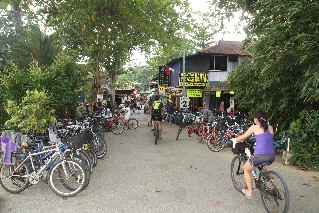 Get around Pulau Ubin on bicycle