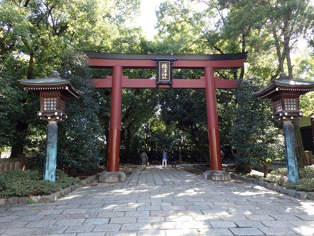 Torii gates at Nezu Shrine Tokyo