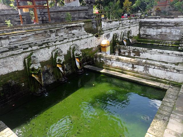 Cleansing fountain at Goa Gajah Temple Bali