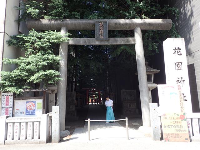 Large Torii Gates at Hanazono Shrine