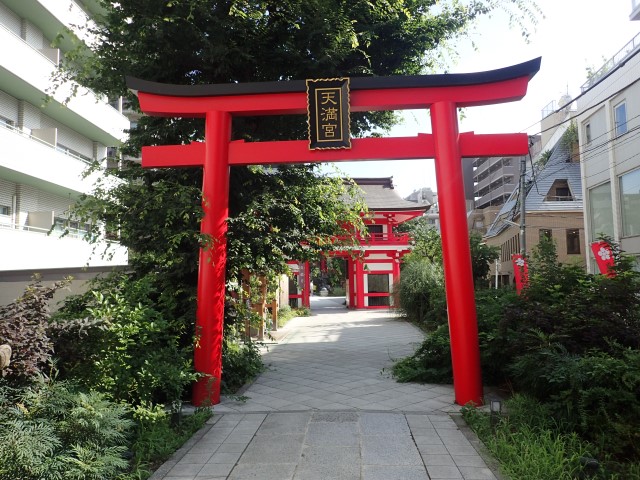 Torii gates at Naruko Tenjin Shrine Shinjuku