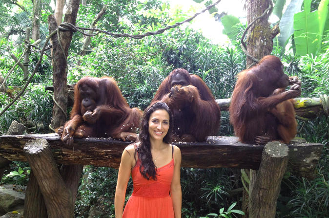 Singapore Zoo breakfast with the Orangutan