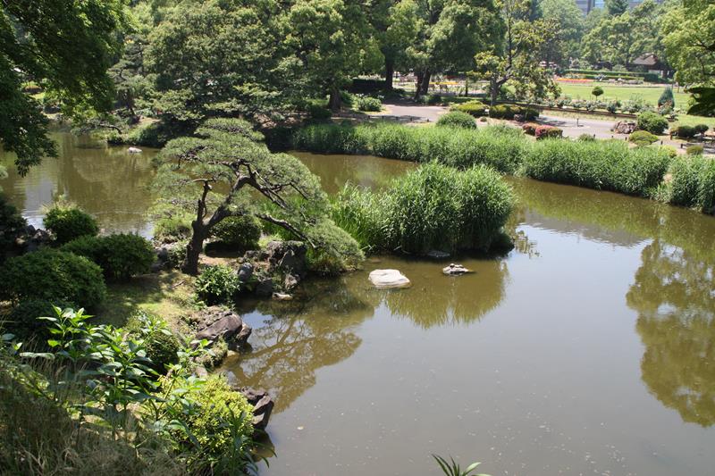 Pond in Hibiya Park Tokyo