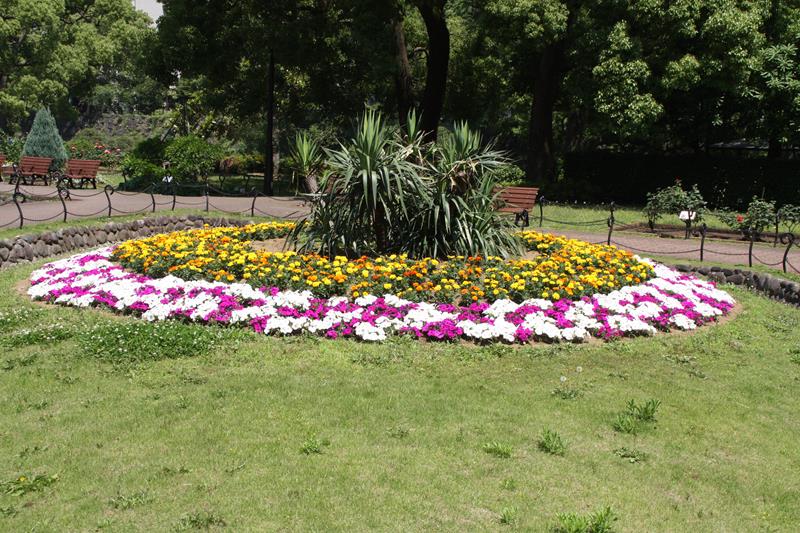 Hibiya Park Flower Displays