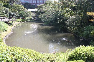 Yusui Lake in Chinzanso Gardens Tokyo