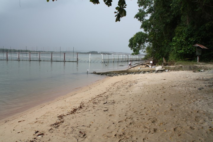Sandy Beach on Pulau Ubin