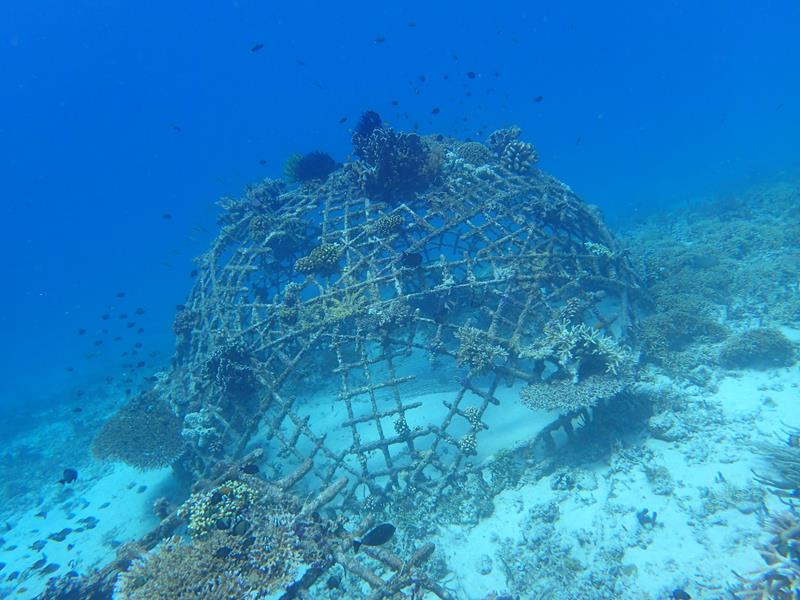 Artificial reef Gili Islands