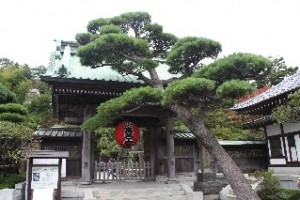 Hasedera Great Kannon Temple Kamakura