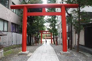 Torii gates at Hanazono Shrine Shinjuku Tokyo