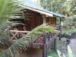 Jungle Lodge Tangkahan Sumatra