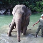 Sumatra An Awesome Backpacker Trail