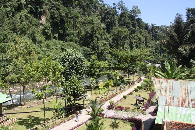 Jungle Trekking in Indonesia