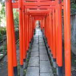 Nezu Shrine Tokyo Japan