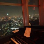 The Best Bar In Tokyo - New York Grill Bar