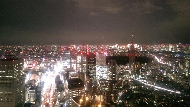 The view from New York Grill Bar Tokyo