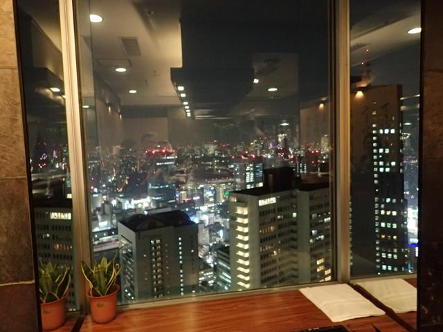 View from Misono Teppanyaki Restaurant Shinjuku