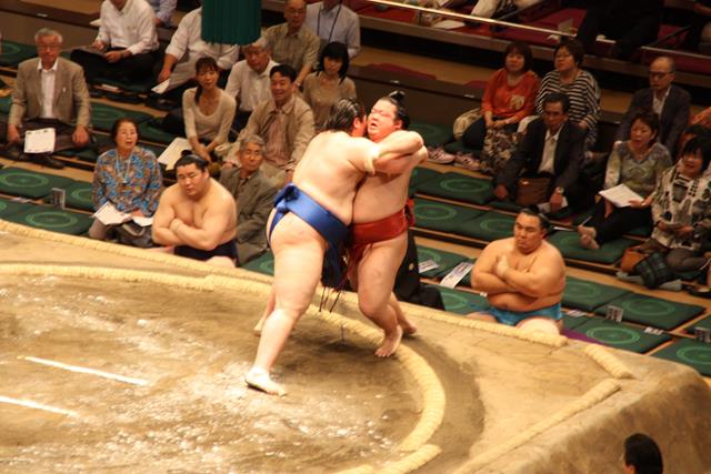 Rules of Sumo Wrestling