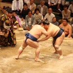 Sumo Wrestling in Japan