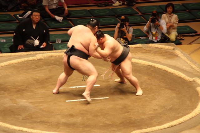 Sumo Wrestling tournament Tokyo