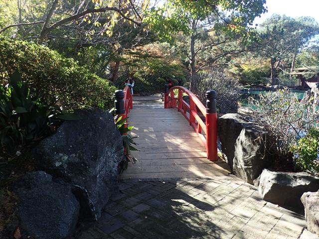 Japanese Gardens Sydney – Auburn Botanical Gardens