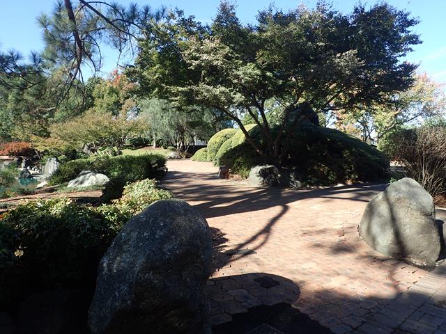 Sydney Japanese Gardens sculptured gardens
