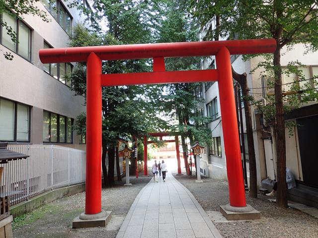 Torii Gates at Hanazono Shrine
