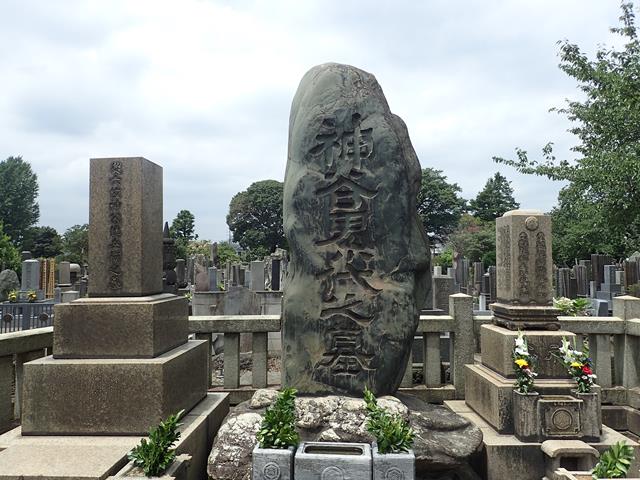 Yanaka Cemetery next to Tennoji Temple
