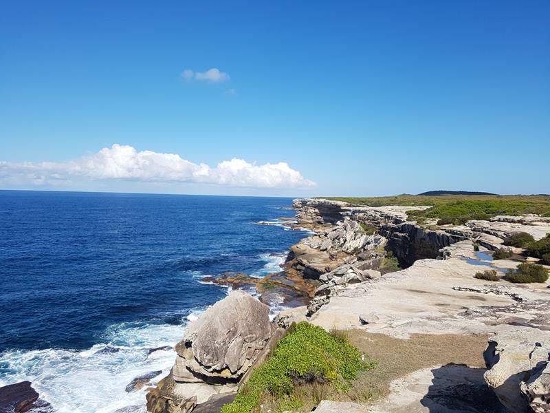 Whale watching from Cape Solander Kamay Botany Bay National Park Sydney