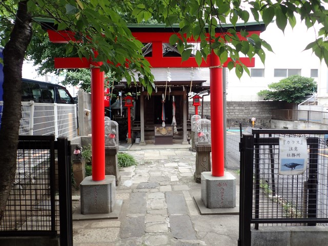 Torii gate at Raiden Inari Shrine