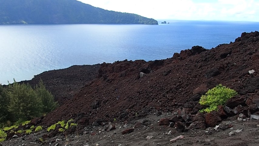 Lava flow down to the sea