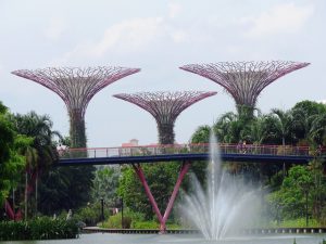 What's On In Singapore