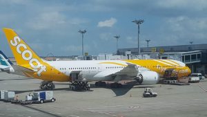 Scoot direct flight from Sydney to Singapore