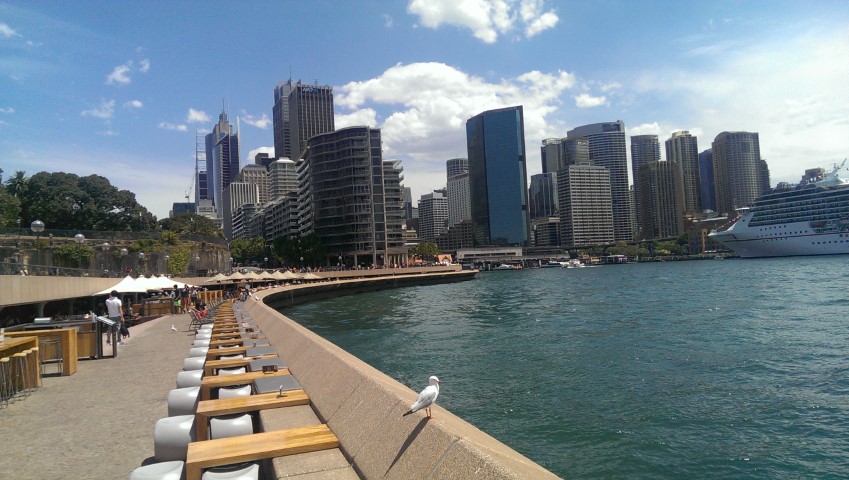 View of Sydney Skyline from Opera Bar