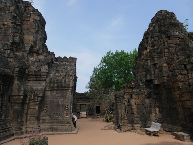 Ta Prohm Temple Grounds