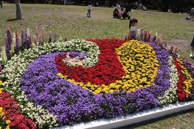 Flower displays in Yamashita Park Yokohama