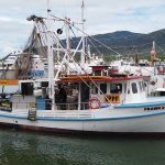 Best Seafood at Cairns Marina Waterfront