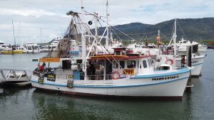 Fresh Seafood at Cairns Marina