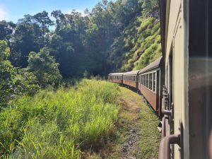 Kuranda Scenic Railway – Cairns Top Tourist Attraction