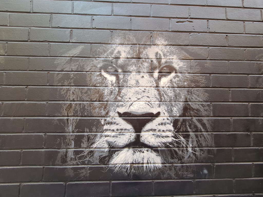 Lion Street Art on Burnett Lane