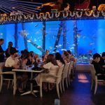 Awesome Dining Experience at Dundee's At The Aquarium Cairns