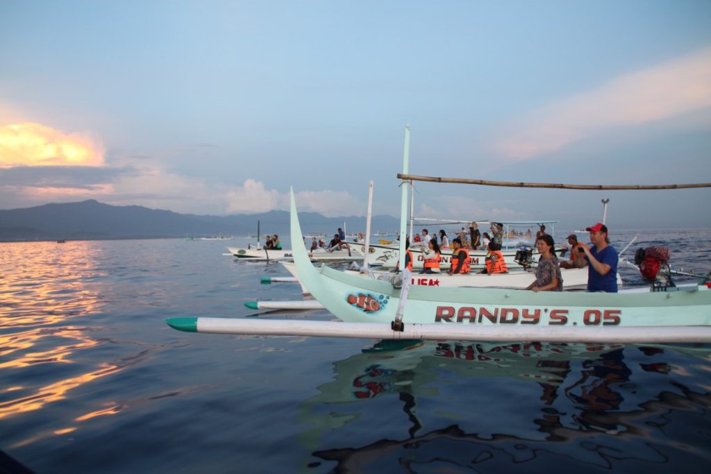 Dolphin Spotting in Lovina Beach Bali