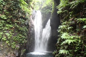 Gitgit Twin Waterfalls Bali