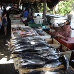 Jimbaran Bay Fish Markets Bali