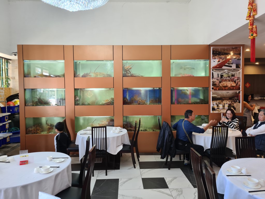 Live Seafood tanks at Iron Chef Chinese Seafood Restaurant Cabramatta