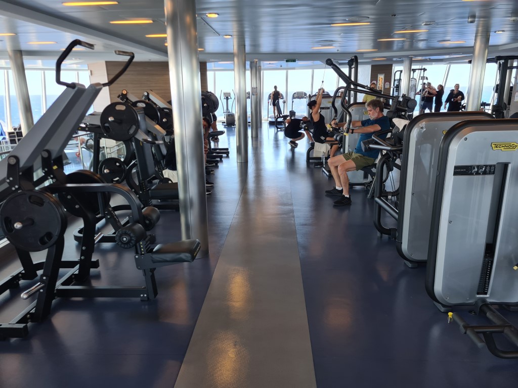 Fully Equipped Gymnasium on Quantum of the Seas
