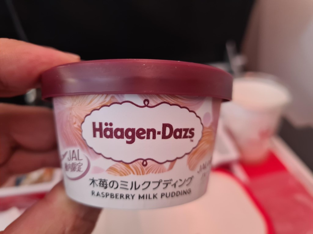 Dessert served in Japan Airlines Premium Economy