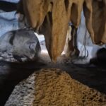 Lub Lae Cave near Hua Hin